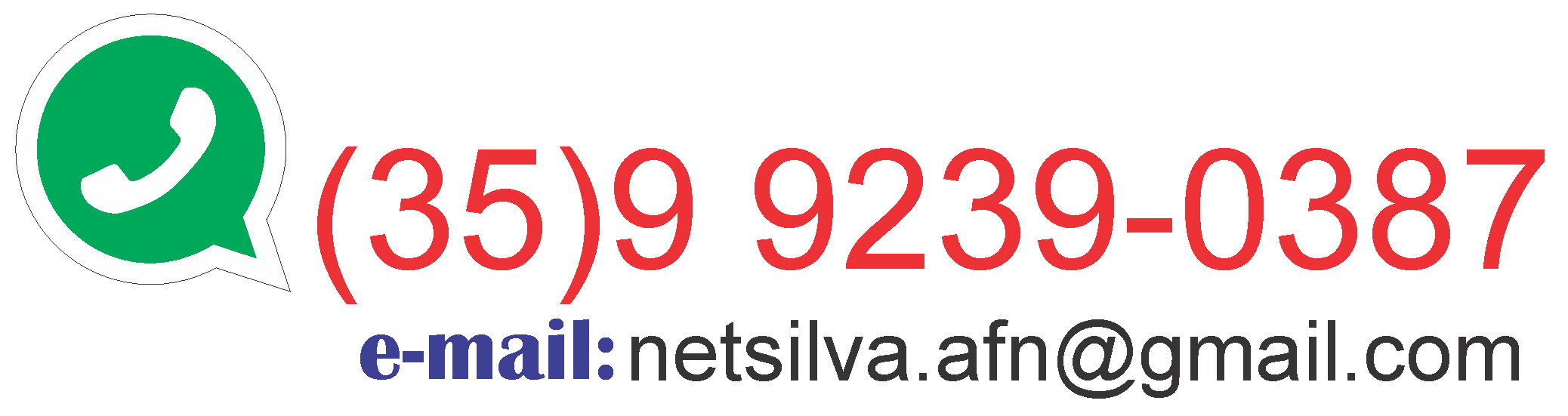 NetSilva Contato